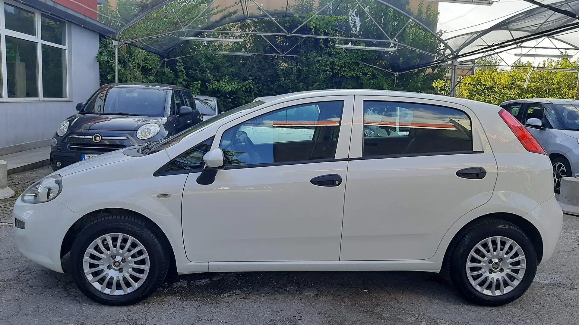 Fiat Punto 5p 1.2 Street Wit - 2