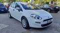 Fiat Punto 5p 1.2 Street Wit - thumbnail 7