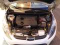 Ford Fiesta FORD FIESTA 1.4 TDCI 70CV PLUS (2010) - thumbnail 14