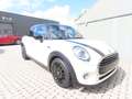 MINI Cooper 1.5A OPF (EU6d-TEMP) Beige - thumbnail 10