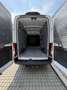 Ford Transit Variobus 2,0 EcoBlue L2H3 350 Trend Weiß - thumbnail 13