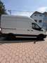 Ford Transit Variobus 2,0 EcoBlue L2H3 350 Trend Weiß - thumbnail 6