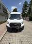 Ford Transit Variobus 2,0 EcoBlue L2H3 350 Trend Weiß - thumbnail 1