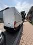 Ford Transit Variobus 2,0 EcoBlue L2H3 350 Trend Weiß - thumbnail 5