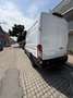Ford Transit Variobus 2,0 EcoBlue L2H3 350 Trend Weiß - thumbnail 4