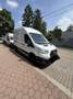 Ford Transit Variobus 2,0 EcoBlue L2H3 350 Trend Weiß - thumbnail 7