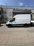 Ford Transit Variobus 2,0 EcoBlue L2H3 350 Trend Weiß - thumbnail 3