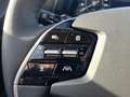 Kia e-Niro EV DynamicPlusLine 64.8 kWh SNEL LEVERBAAR!! - thumbnail 19