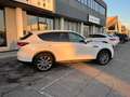 Mazda CX-60 CX-60 3.3m-hybrid boost Exclusive Line Convenience Weiß - thumbnail 9