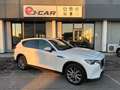 Mazda CX-60 CX-60 3.3m-hybrid boost Exclusive Line Convenience Weiß - thumbnail 1