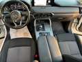 Mazda CX-60 CX-60 3.3m-hybrid boost Exclusive Line Convenience Weiß - thumbnail 17