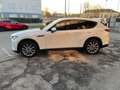Mazda CX-60 CX-60 3.3m-hybrid boost Exclusive Line Convenience Weiß - thumbnail 5