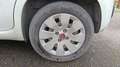 Fiat Panda 1.2 69 Pop Blanc - thumbnail 19