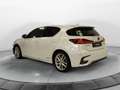 Lexus CT 200h CT Hybrid Business Blanc - thumbnail 18