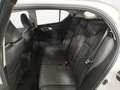 Lexus CT 200h CT Hybrid Business Blanc - thumbnail 12