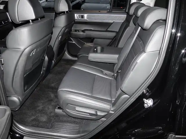 Hyundai Santa Fe view 15