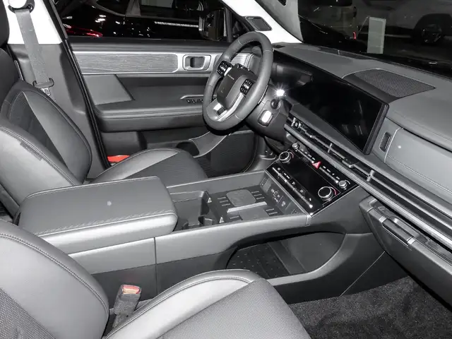 Hyundai Santa Fe view 4