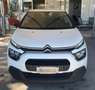 Citroen C3 C3 III 2017 1.5 bluehdi Feel s Bianco - thumbnail 2
