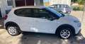 Citroen C3 C3 III 2017 1.5 bluehdi Feel s Bianco - thumbnail 8