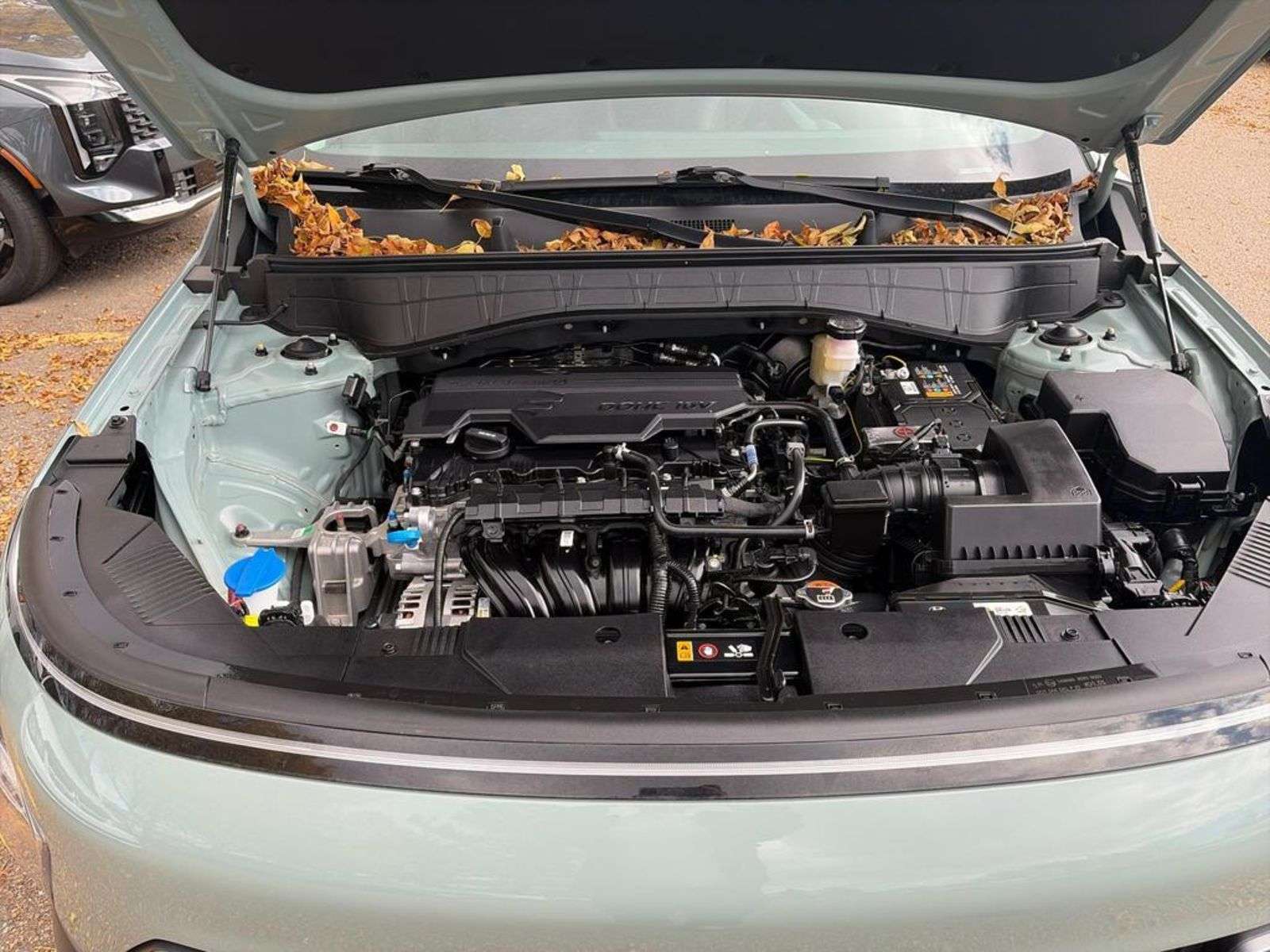 Image 9