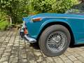 Triumph TR5 Grün - thumbnail 10