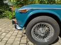 Triumph TR5 Verde - thumbnail 19