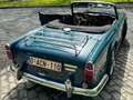 Triumph TR5 Verde - thumbnail 15