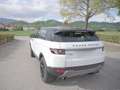 Land Rover Range Rover Evoque 5p 2.2 sd4 Pure 190cv Bianco - thumbnail 3