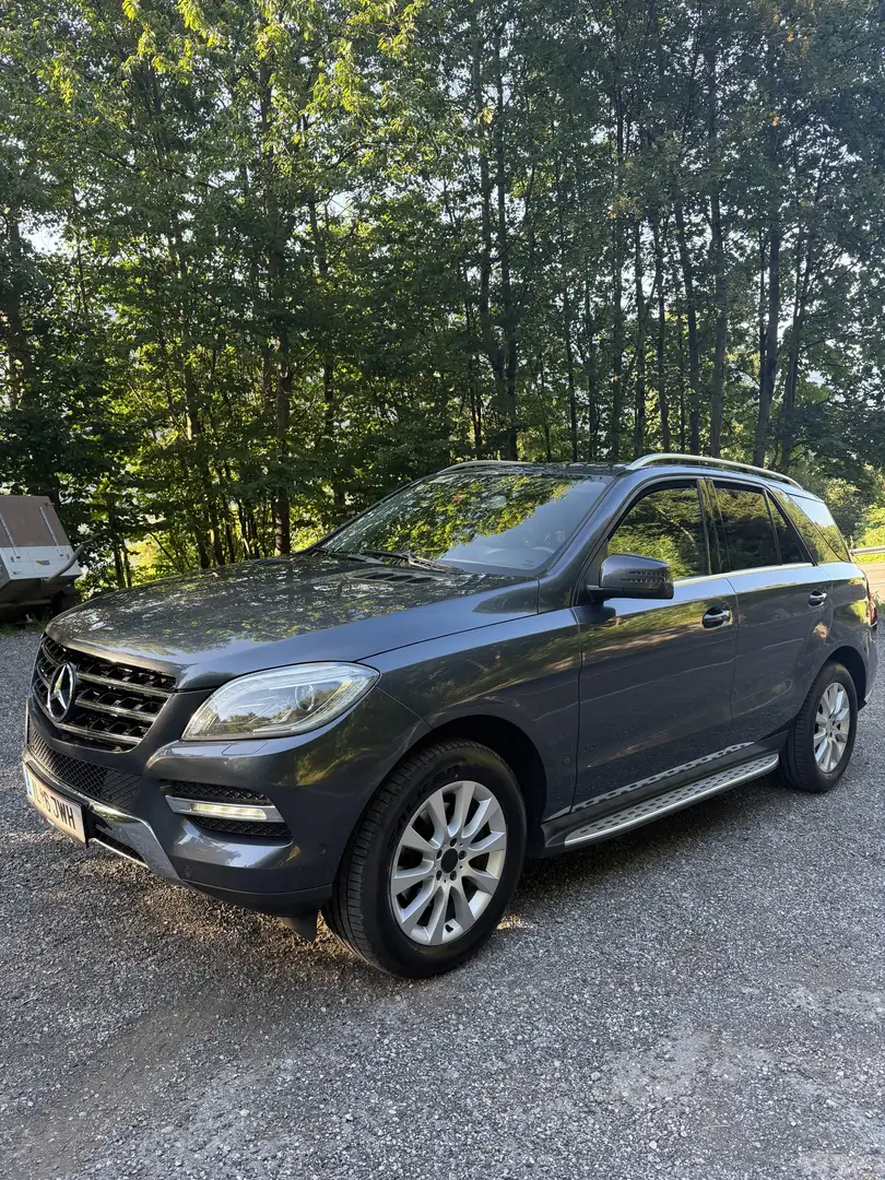Mercedes-Benz ML 350 BlueTEC 4MATIC Aut. DPF - 1