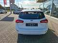 Ford Focus 1,0 EcoBoost Vignale Turnier *Vollleder* Blanc - thumbnail 5