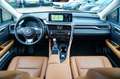 Lexus RX 350 AWD President Line | Luxe Leder | Memory | Lane As Weiß - thumbnail 3