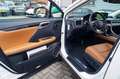 Lexus RX 350 AWD President Line | Luxe Leder | Memory | Lane As Weiß - thumbnail 29