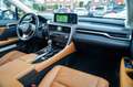 Lexus RX 350 AWD President Line | Luxe Leder | Memory | Lane As Weiß - thumbnail 20