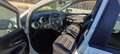 Fiat Punto Evo 1.4 Dynamic Aut. S&S Blanco - thumbnail 10