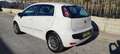 Fiat Punto Evo 1.4 Dynamic Aut. S&S Blanco - thumbnail 6