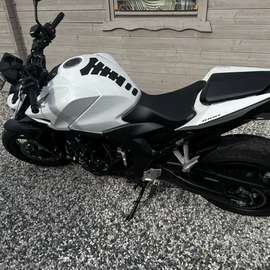 hornet