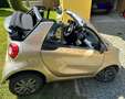 smart forTwo electric drive / EQ (453.491) Grau - thumbnail 2