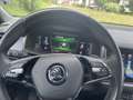 Skoda Kodiaq 2,0 TDI SCR 4x4 Sportline DSG , Standheizung Grau - thumbnail 10