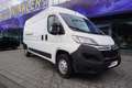 Citroen Jumper  35 2.2 Motorschaden BlueHDi L3H2 3,5tPDC Weiß - thumbnail 3