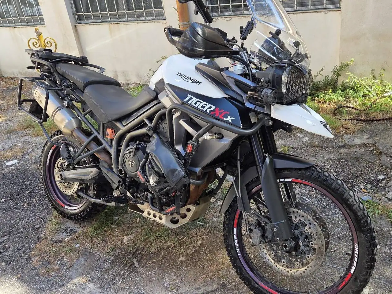 Triumph Tiger 800