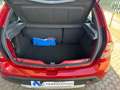 Dacia Sandero Sandero 1.6 8v Stepway Gpl 85cv Rosso - thumbnail 7