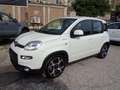 Fiat Panda 1000 HYBRID SPORT 70CV CARPLAY 5 POSTI "16 Blanc - thumbnail 1
