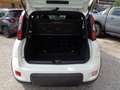 Fiat Panda 1000 HYBRID SPORT 70CV CARPLAY 5 POSTI "16 Blanc - thumbnail 13