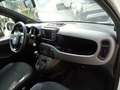 Fiat Panda 1000 HYBRID SPORT 70CV CARPLAY 5 POSTI "16 Blanc - thumbnail 8