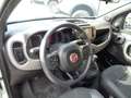 Fiat Panda 1000 HYBRID SPORT 70CV CARPLAY 5 POSTI "16 Blanc - thumbnail 9