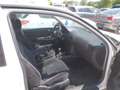 Volkswagen Golf Golf Comfortline Cool TDI PD Weiß - thumbnail 7