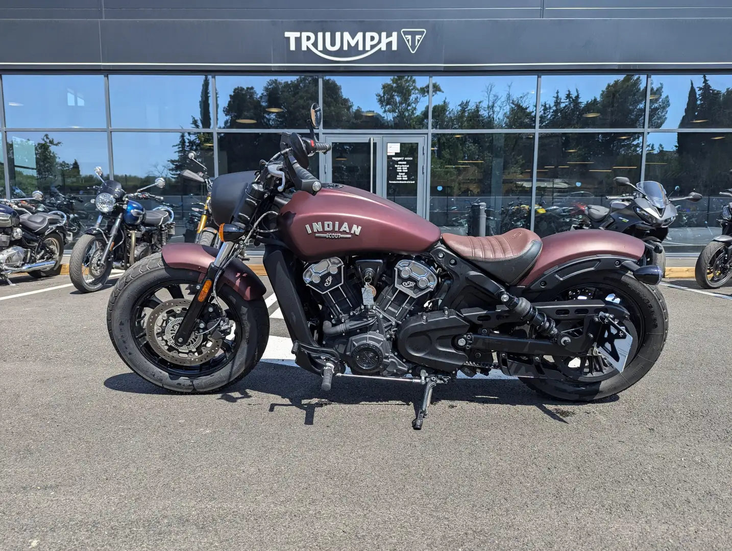 Indian Scout Rouge - 2