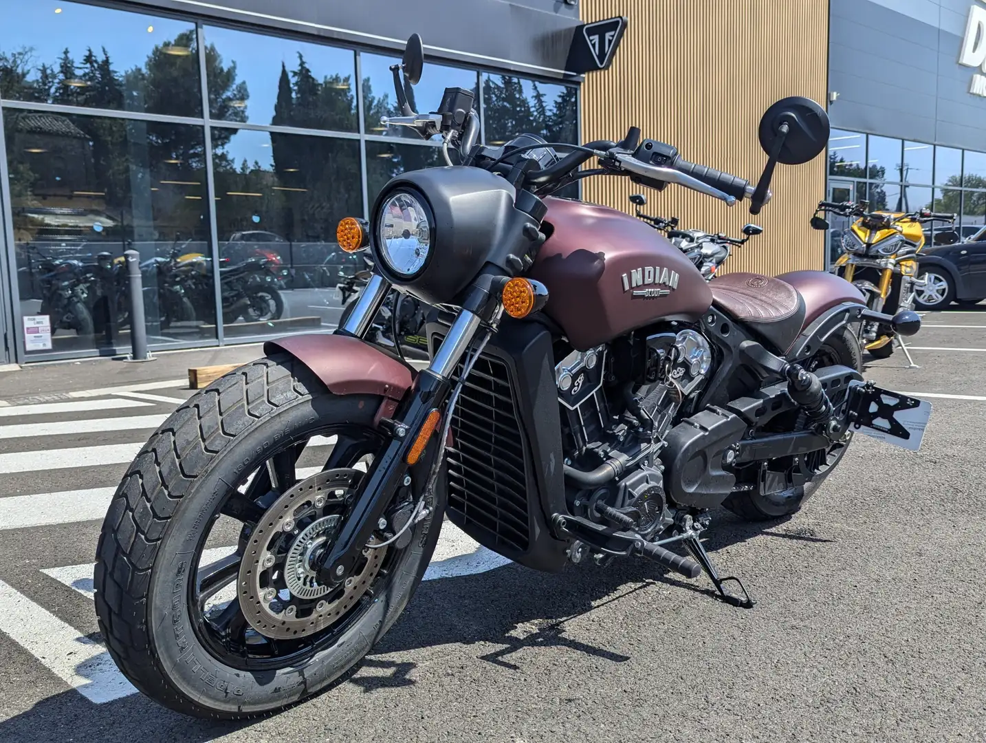 Indian Scout Rouge - 1