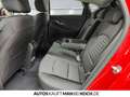 Hyundai i30 Fastback 1.0T-GDI DCT LED Navi Klima Temp.LM Rot - thumbnail 7