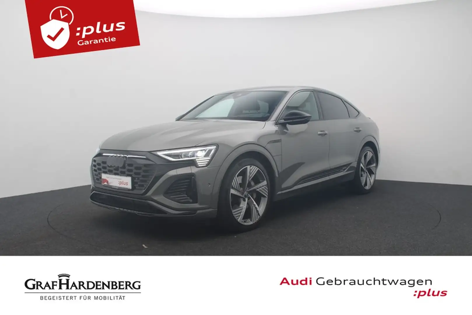 Audi Q8 Sportback e-tron 50 quattro S line LED Navi Grau - 1